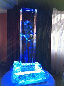 wedding_party_6