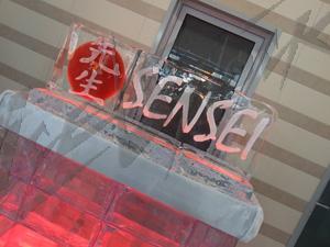 sensei_2