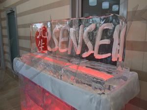 sensei_3