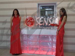 sensei_8