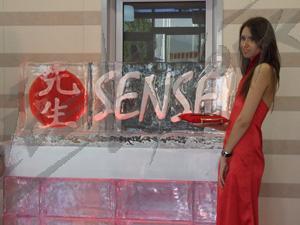 sensei_9