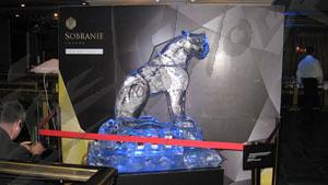 sobranie_10