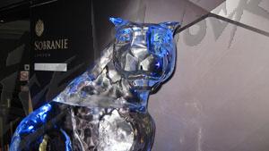 sobranie_7