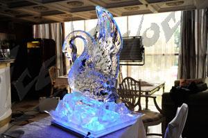 swan_3