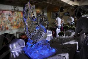 swan_7
