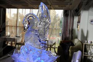 swan_8