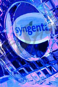 sygenta2