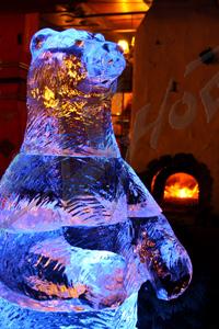 bear