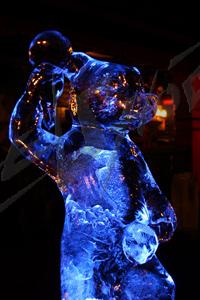 playing_bear