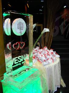 vesna14