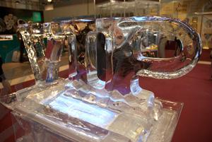 vip_zone2