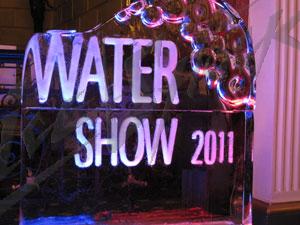 water_show_27