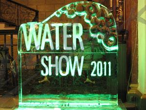 water_show_28