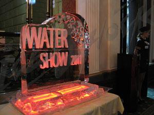 water_show_7