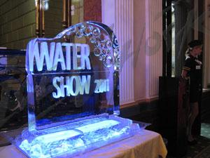 water_show_8