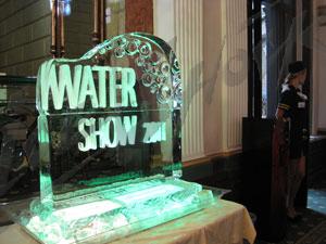 water_show_9