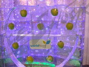 world_food_11
