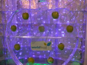 world_food_12