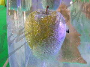 world_food_15