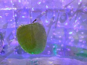 world_food_17