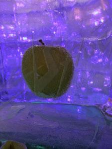world_food_5
