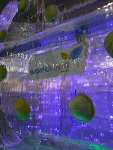 world_food_7