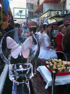 butterfly_2