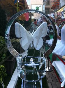 butterfly_3