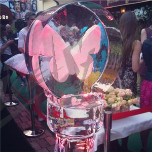 butterfly_5