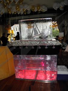 elit_1
