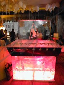 elit_13