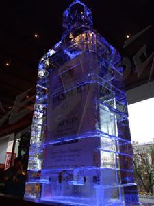 gin_10