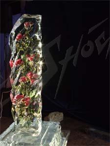 kolona_14