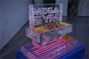 megagym_6