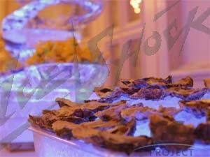 oyster_15