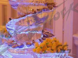 oyster_16