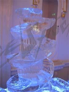 oyster_5