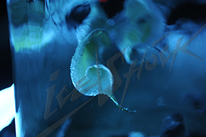 ice_18