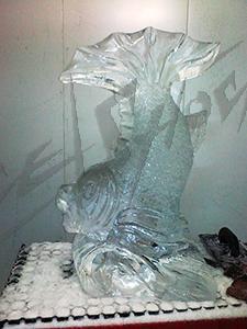 fish_1