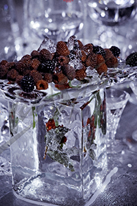 ice_10