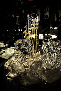 ice_14