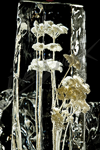 ice_21