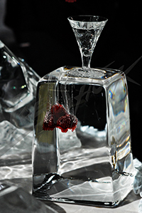 ice_22