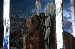 ice_31