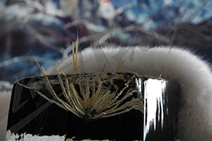 ice_45