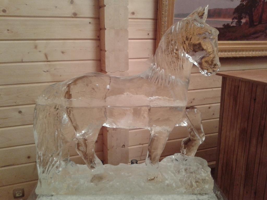 horse_1
